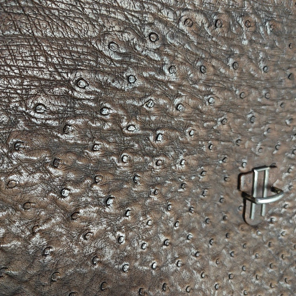 Ostrich Brown