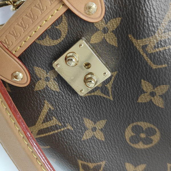 SIDE TRUNK PM Monogram Coated Canvas Brown