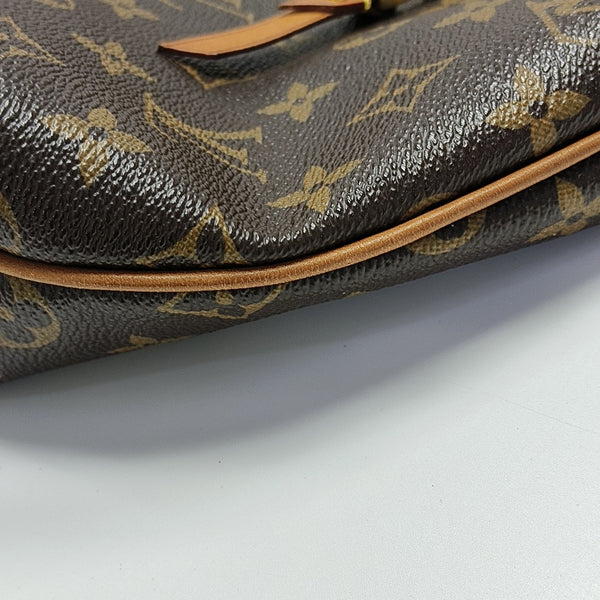 DELIGHTFUL Monogram Coated Canvas Brown