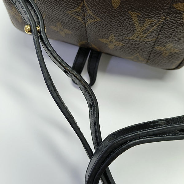 PALM SPRINGS Mini Monogram Coated Canvas Brown