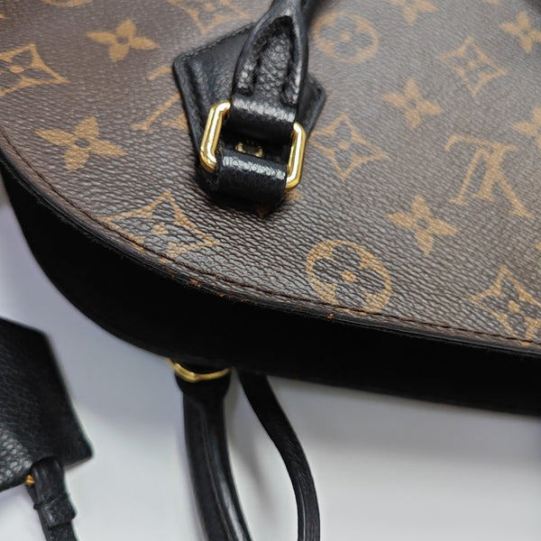 ALMA BNB MM Monogram Coated Canvas Brown