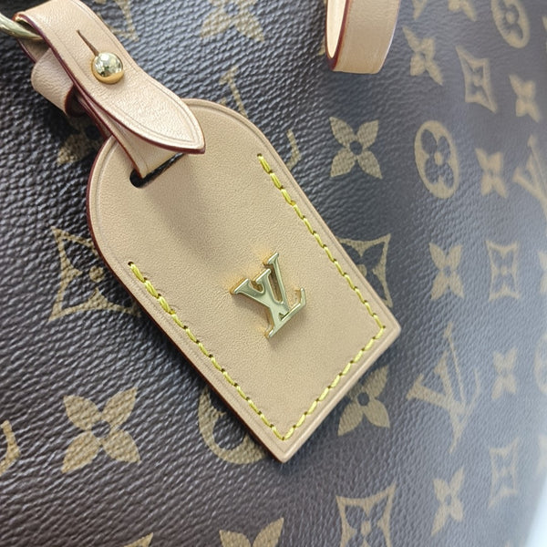 CARRYALL PM Monogram Coated Canvas Brown