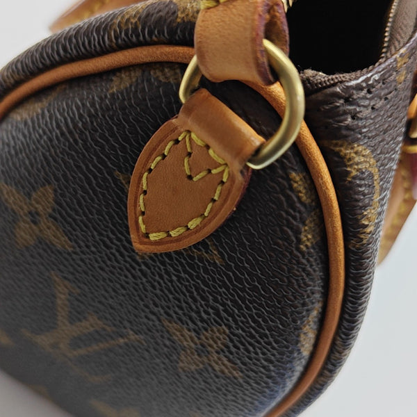 SPEEDY Nano Monogram Coated Canvas Brown