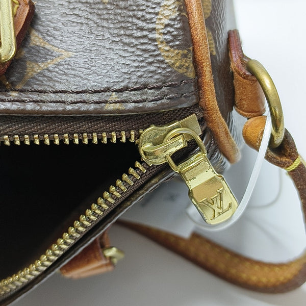 SPEEDY Nano Monogram Coated Canvas Brown