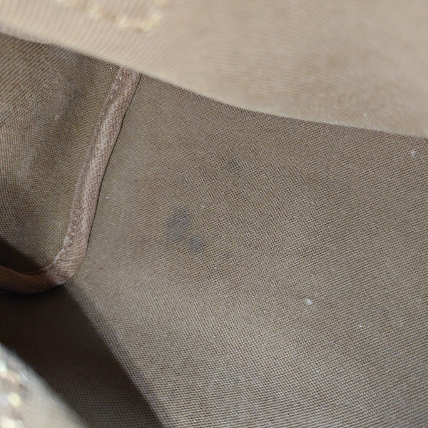 SPEEDY Nano Monogram Coated Canvas Brown