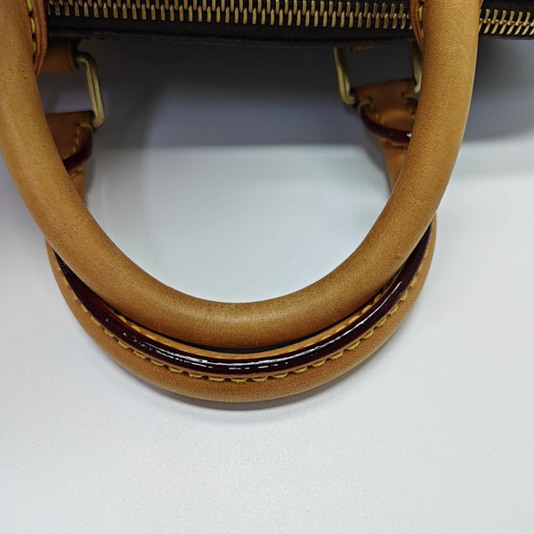 SPEEDY 25 Monogram Coated Canvas Brown