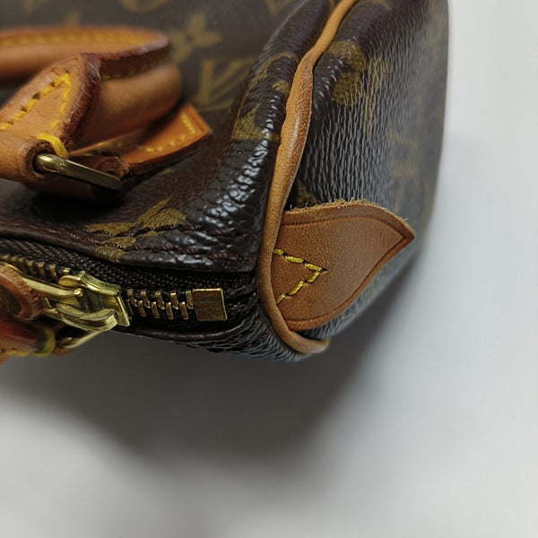 SPEEDY Nano Monogram Coated Canvas Brown