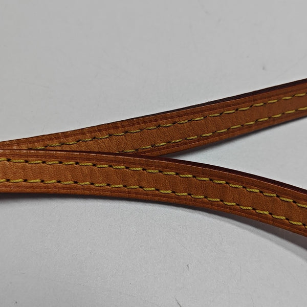 SPEEDY Nano Monogram Coated Canvas Brown