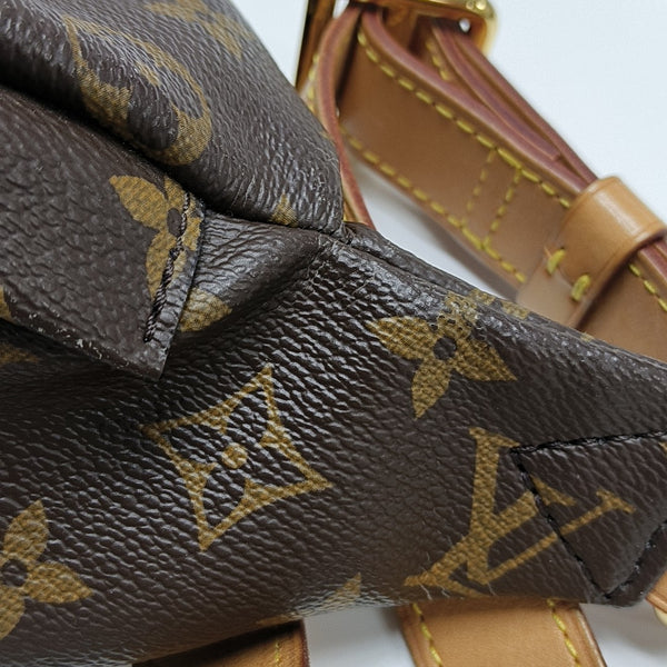 BUMBAG Monogram Coated Canvas Brown