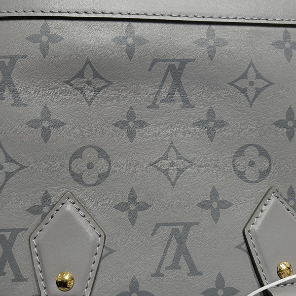 ALMA BB Monogram Calfskin Gray