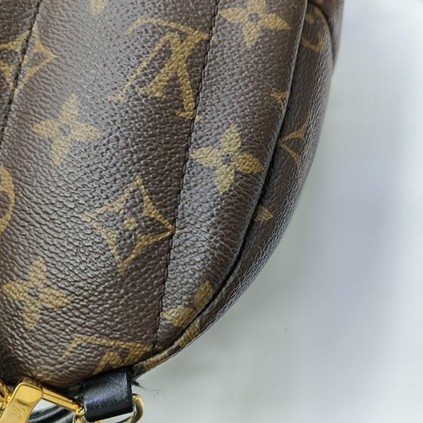 PALM SPRINGS Mini Monogram Coated Canvas Brown