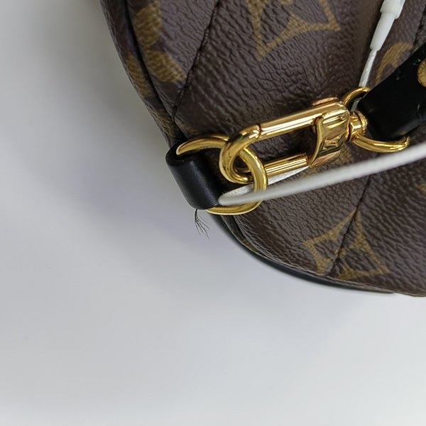 PALM SPRINGS Mini Monogram Coated Canvas Brown