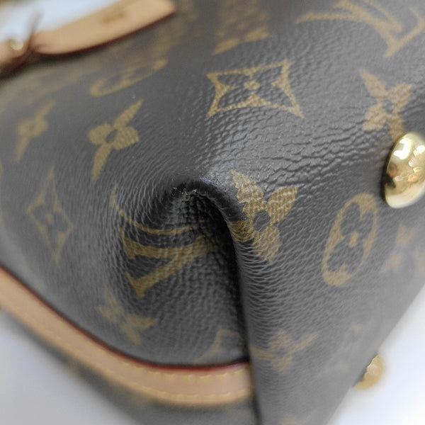 CARRYALL PM Monogram Coated Canvas Brown
