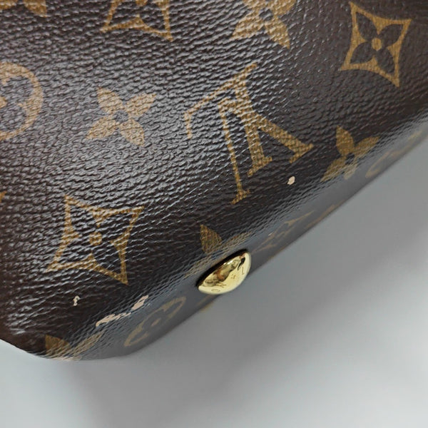 CARRYALL PM Monogram Coated Canvas Brown