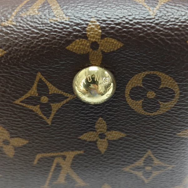 CARRYALL PM Monogram Coated Canvas Brown