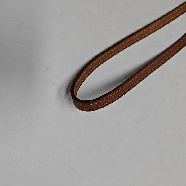 SPEEDY Nano Monogram Coated Canvas Brown