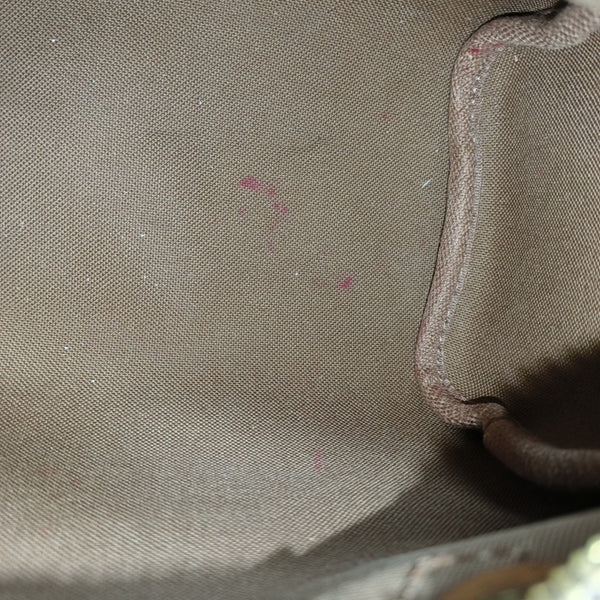 SPEEDY Nano Monogram Coated Canvas Brown