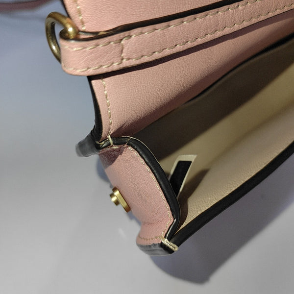 Nile Small Calfskin Pink