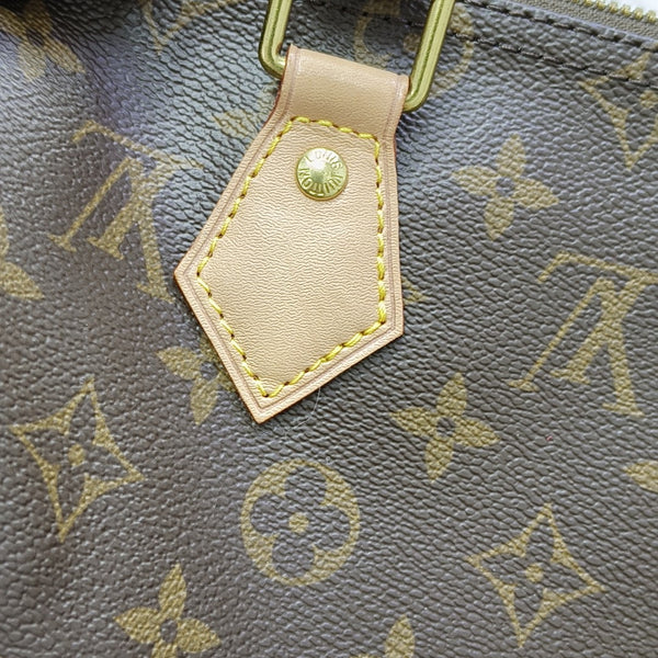 SPEEDY 25 Monogram Coated Canvas Brown