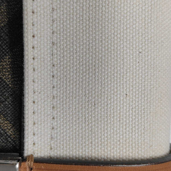 Baguette Mini Canvas Brown