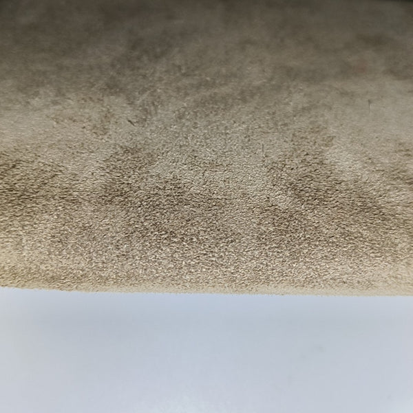 Dionysus Mini Monogram Coated Canvas Beige