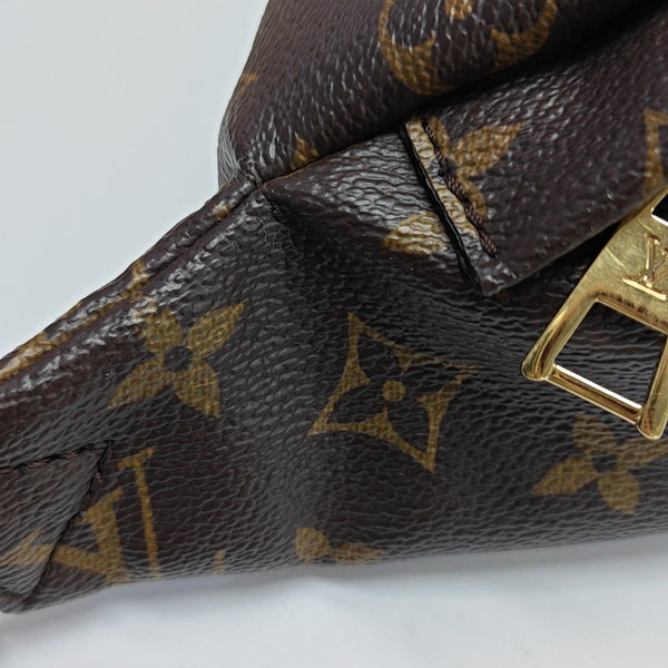 BUMBAG Monogram Coated Canvas Brown