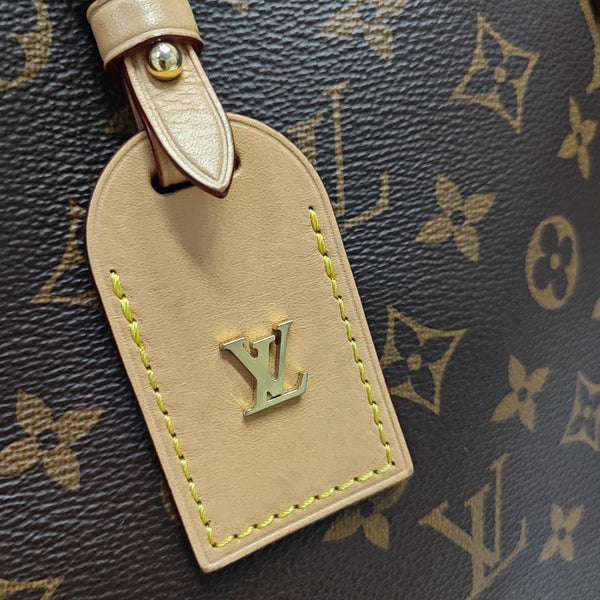CARRYALL PM Monogram Coated Canvas Brown