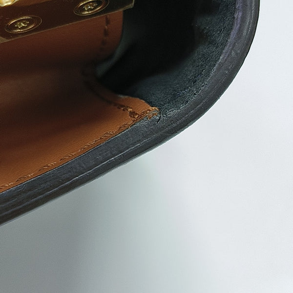 DAUPHINE MM Monogram Coated Canvas Brown