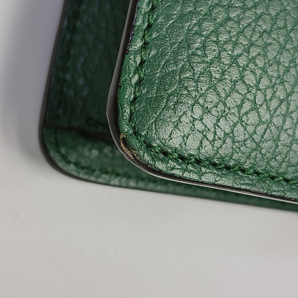 Dionysus Mini Calfskin Green