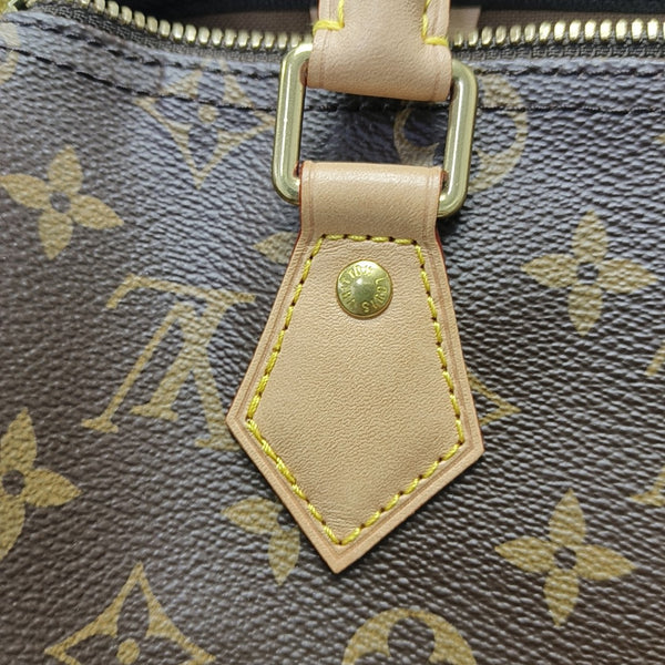 SPEEDY 25 Monogram Coated Canvas Brown