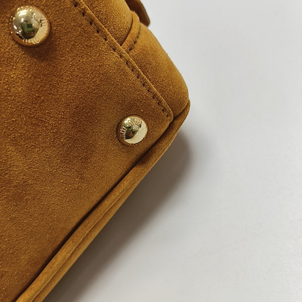 Arcadie Small Suede Yellow