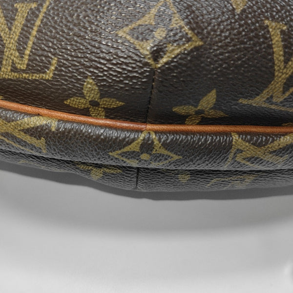 CROISSANT MM Monogram Coated Canvas Brown