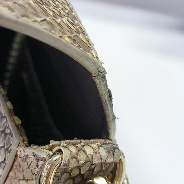 DIVAS' DREAM Python Multicolor