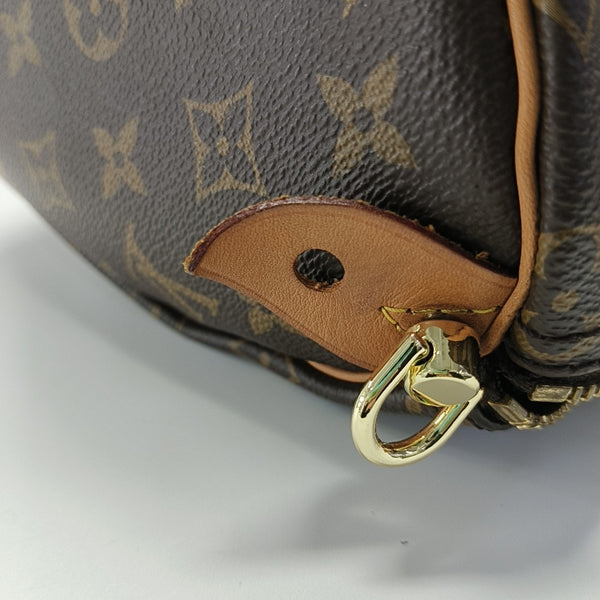 SPEEDY 25 Monogram Coated Canvas Brown