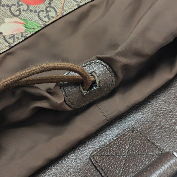 Tian Monogram Coated Canvas Brown