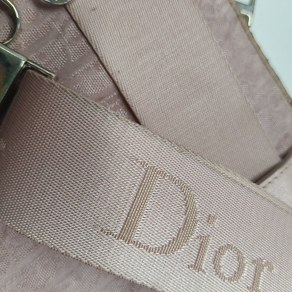 Oblique Canvas Belt Bag Pink