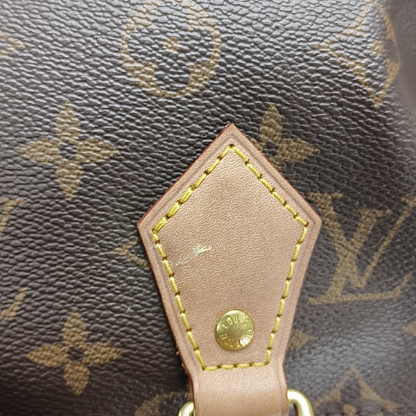 SPEEDY 25 Monogram Coated Canvas Brown