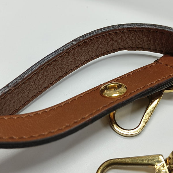 DAUPHINE Mini Monogram Coated Canvas Brown