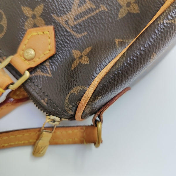 SPEEDY Nano Monogram Coated Canvas Brown