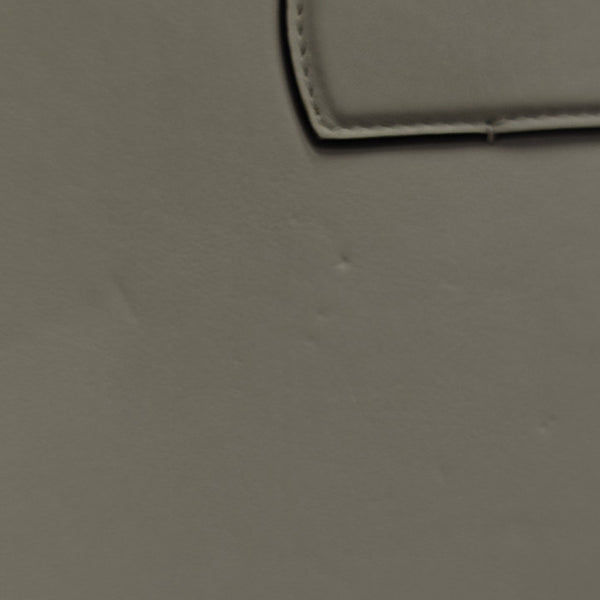 Dionysus Medium Calfskin Multicolor