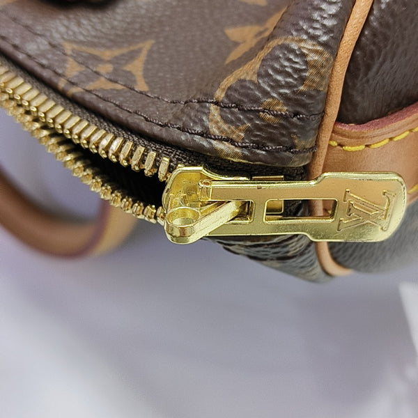SPEEDY 25 Monogram Coated Canvas Brown