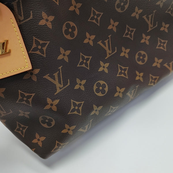 CARRYALL PM Monogram Coated Canvas Brown