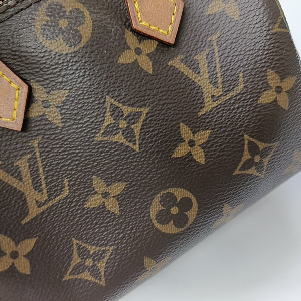 SPEEDY Nano Monogram Coated Canvas Brown