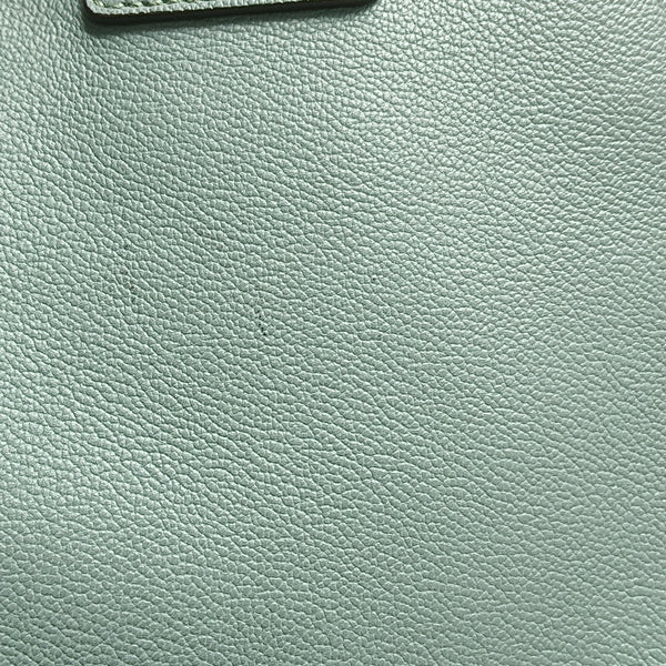 Buckle Medium Calfskin Green