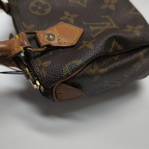 SPEEDY Nano Monogram Coated Canvas Brown