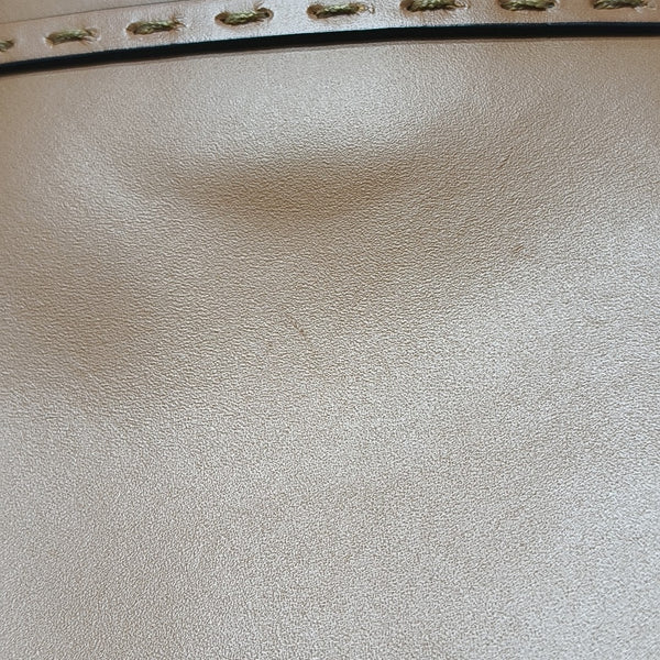 Sunshine Mini Calfskin Brown