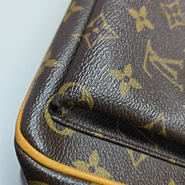 MULTIPLE Monogram Coated Canvas Brown