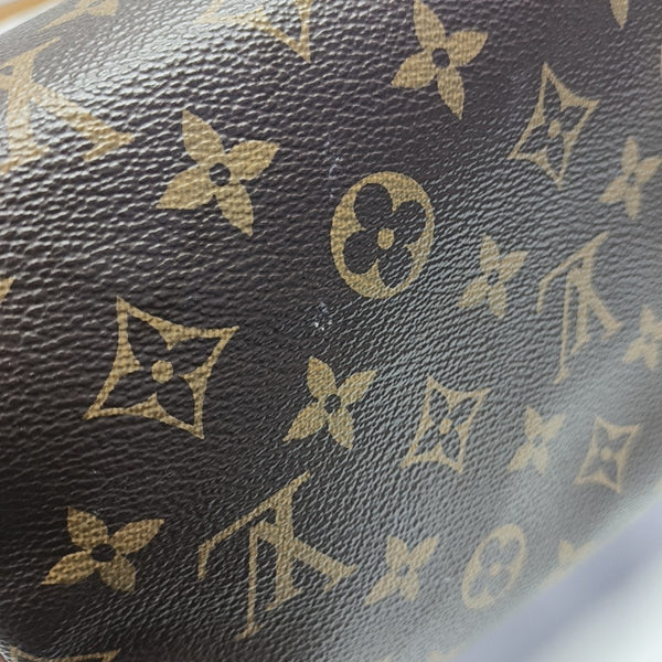 SPEEDY 25 Monogram Coated Canvas Brown