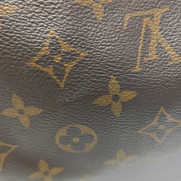 SPEEDY 25 Monogram Coated Canvas Brown