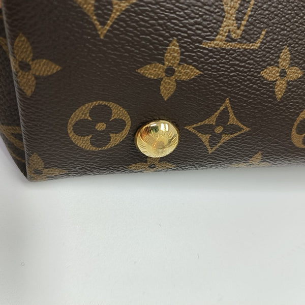 CARRYALL PM Monogram Coated Canvas Brown